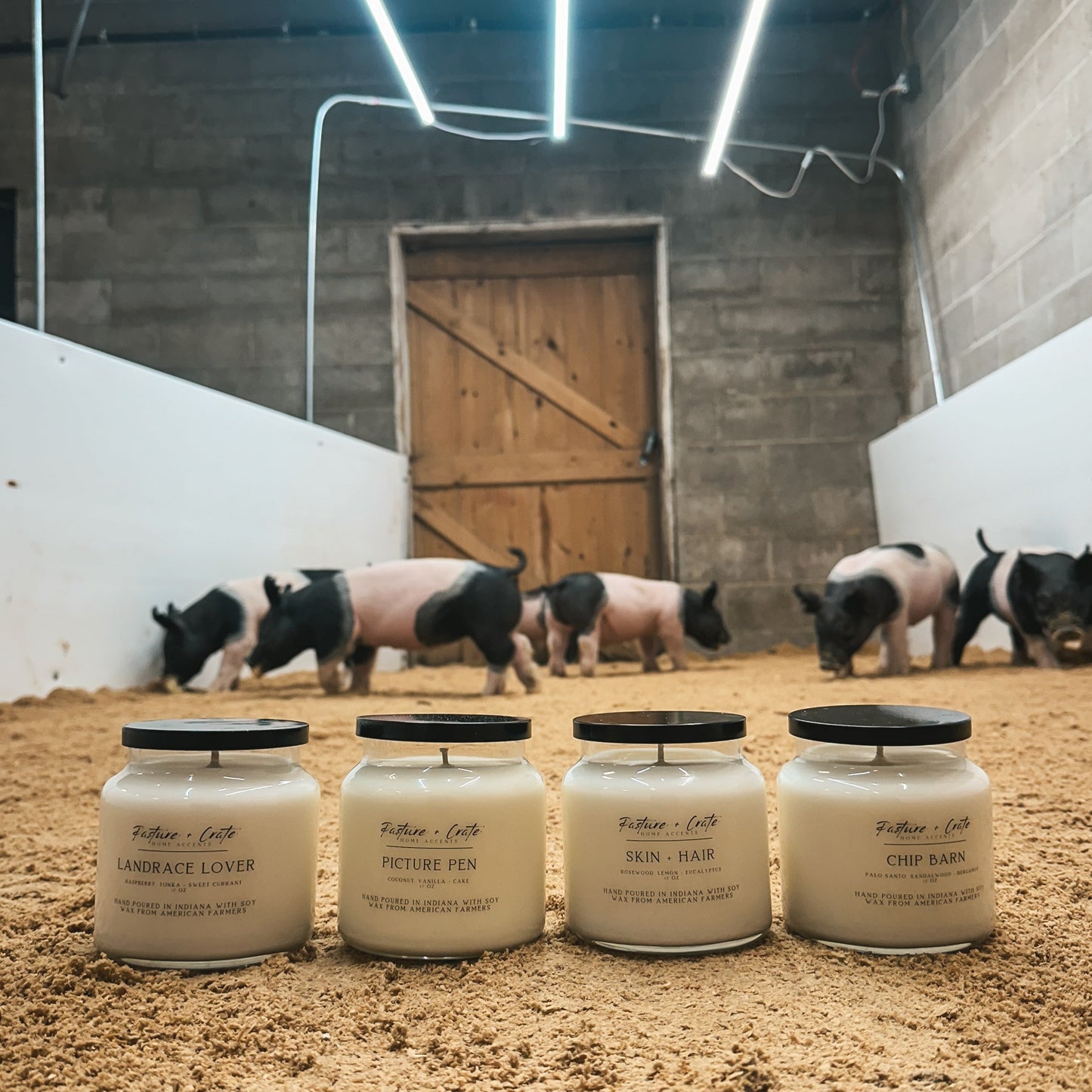 The Litter Collection