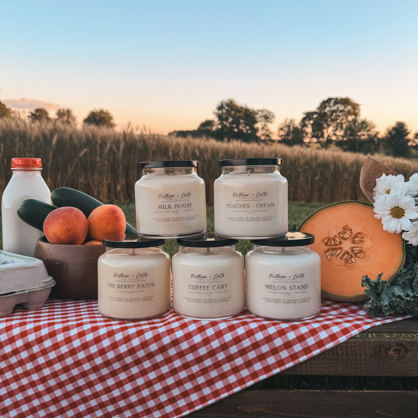 NEW THE FARMER'S MARKET SET
